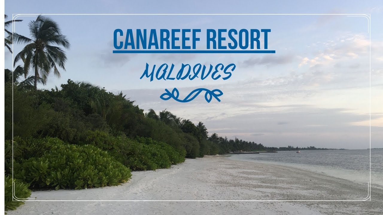 Не большой обзор Canareef Resort Maldives