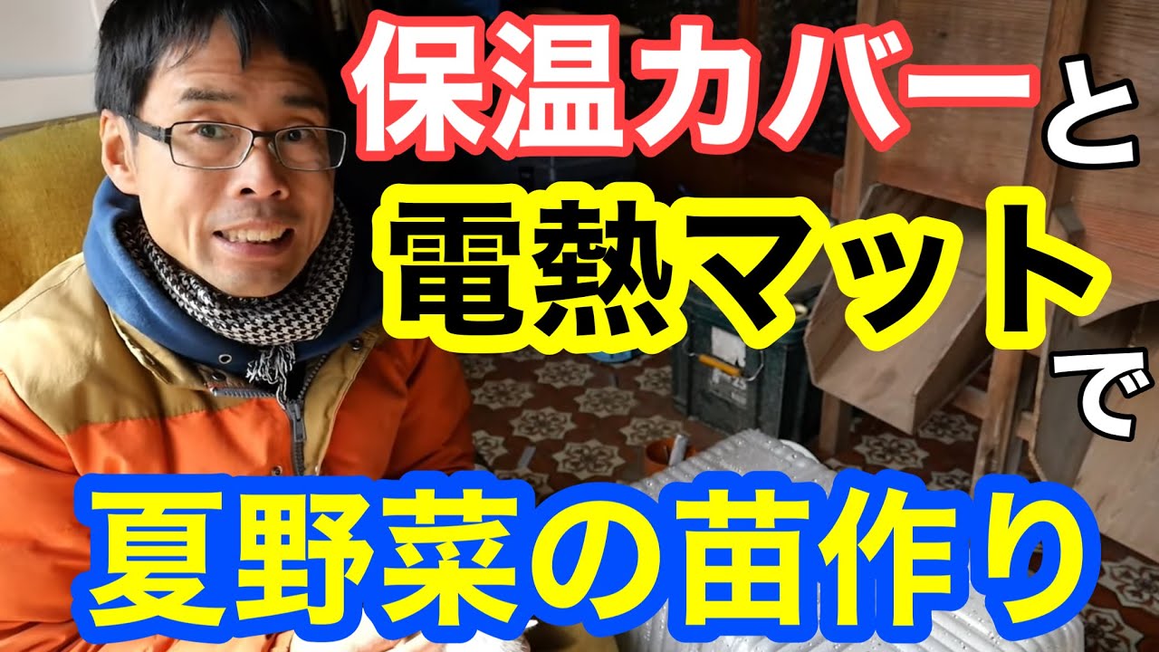 【夏野菜の苗作り①】種まき育苗にお勧めの電熱マットと使った理由【トマト栽培/ヒーターマット】
