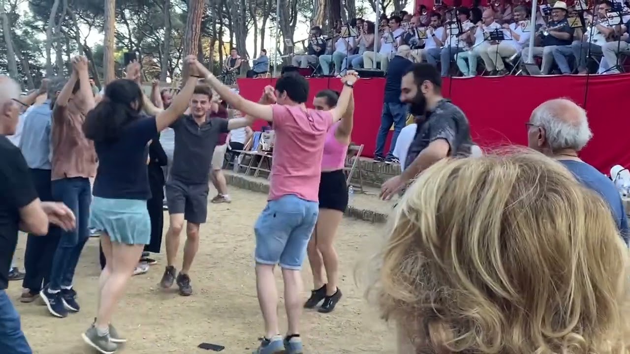 Pètals d'una flor de Juny