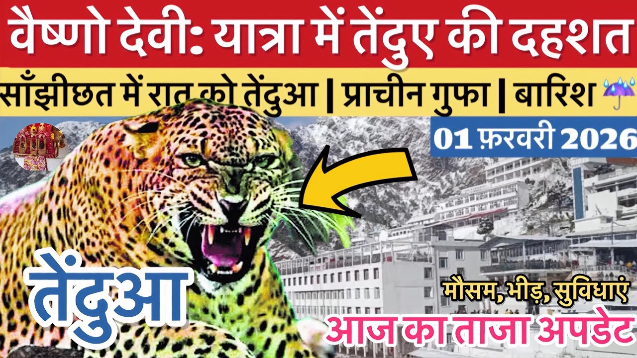 वैष्णो देवी: यात्रा में तेंदुए से दहशत | बारिश☔️| भीड़ कम #vaishnodeviyatra #vaishnodevi #yakshom