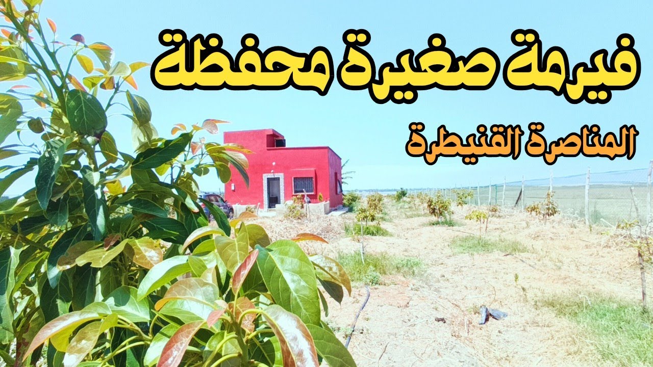 فيرمة صغيرة محفظة بمنطقة المناصرة نواحي القنيطرة