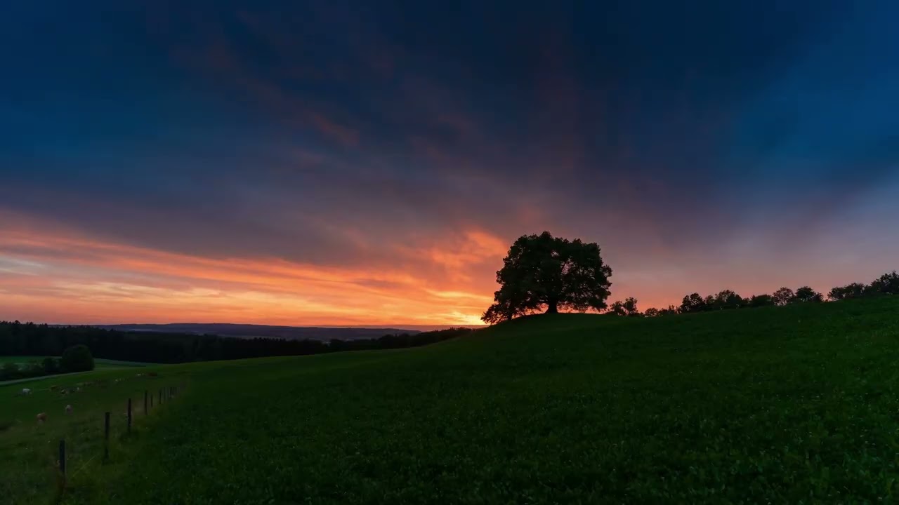 Enjoy This Beatiful Relaxing Sunset,🎶 Calm music, Nature Friendly, Stress Relief 🌿