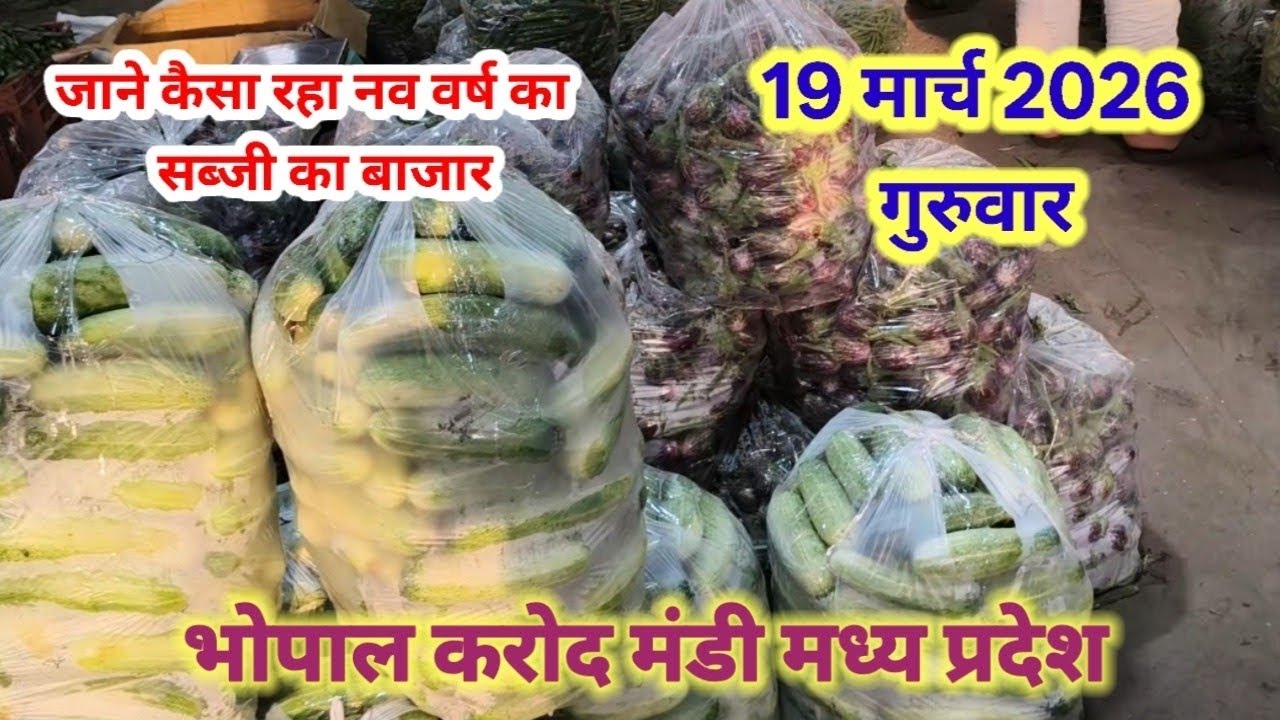 जाने कैसा रहा आज का सब्जी का बाजार 🥦🫑🍆🌶️ 19 मार्च 2026 भोपाल करोद मंडी मध्य प्रदेश