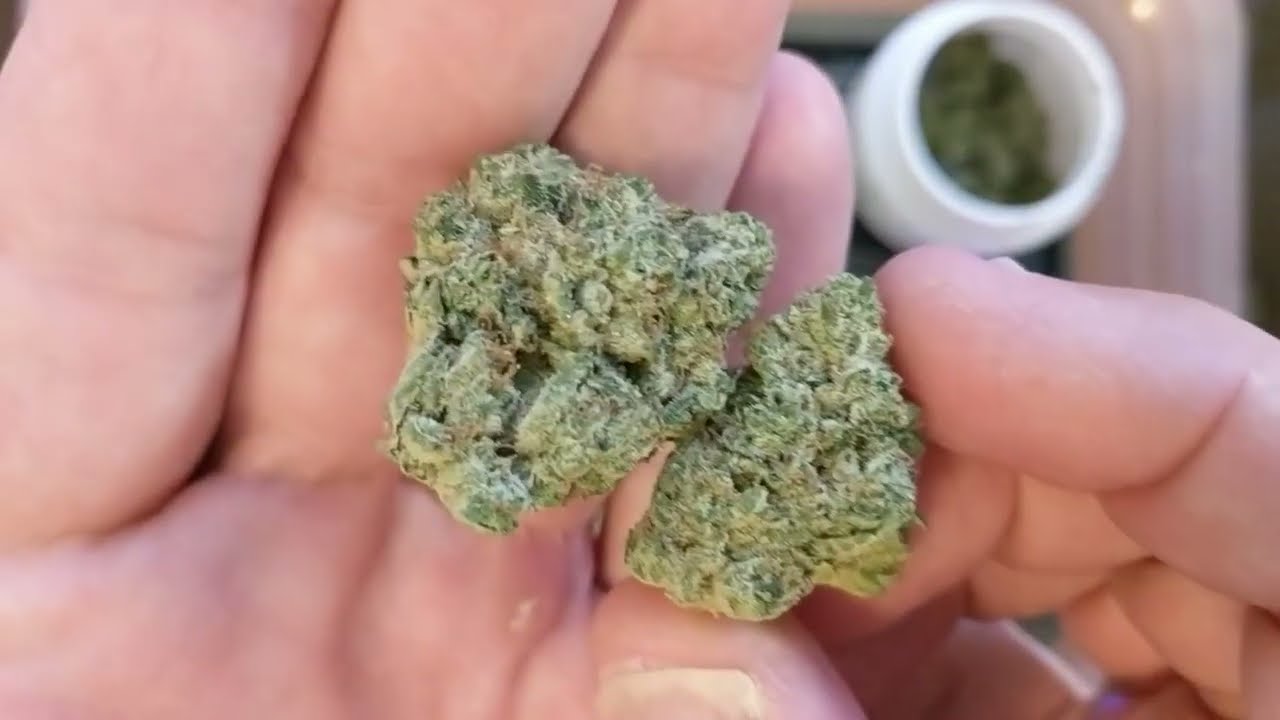 Triangle Kush 27% Trulieve Eustis