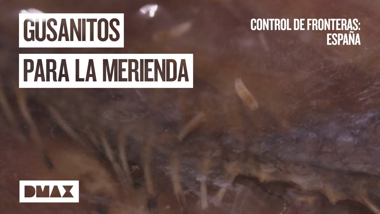 Equipaje procedente de Hong Kong: pescado seco lleno de gusanos | Control de fronteras: España