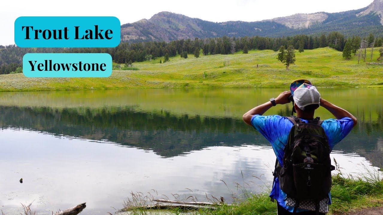 Yellowstone easy hike!