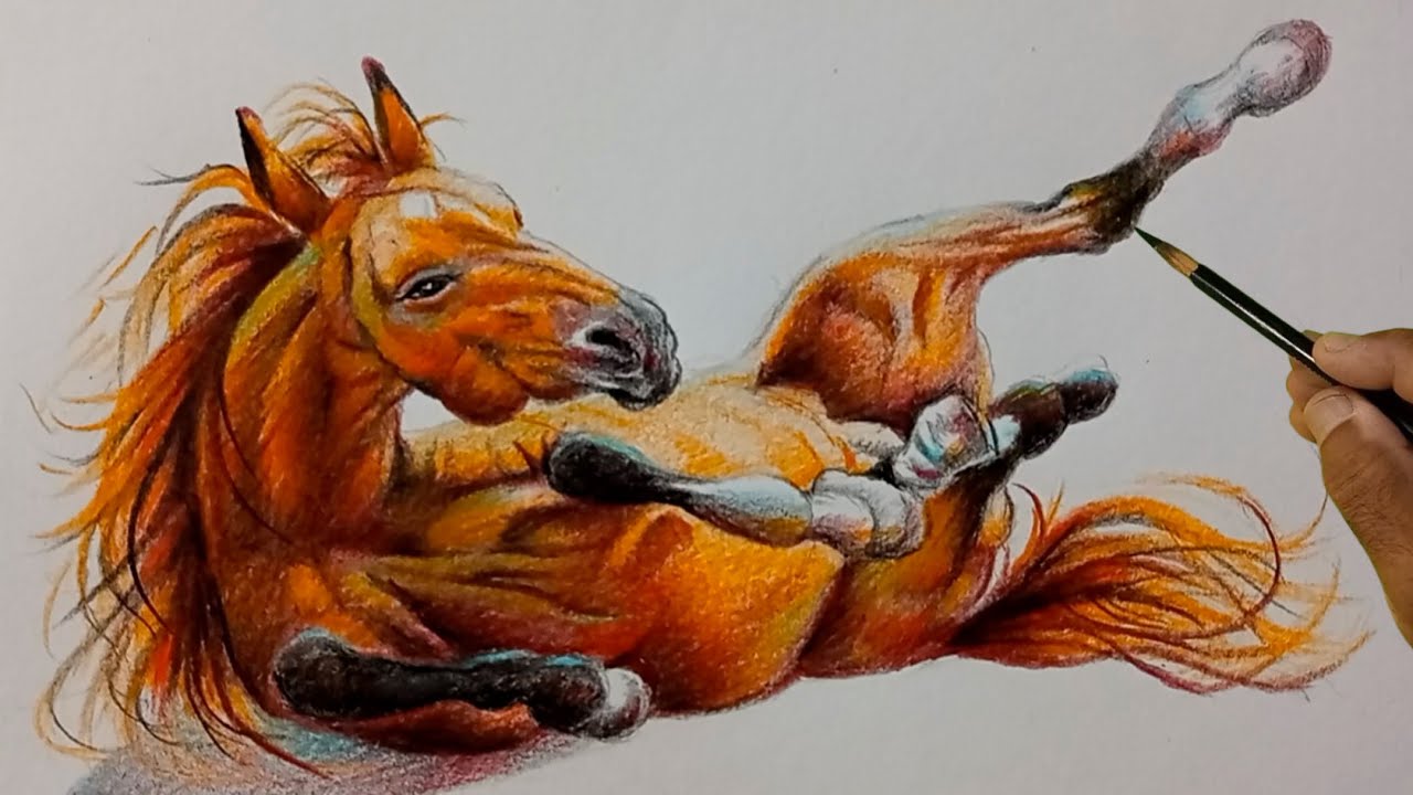 🐎 Realistic Horse Drawing with Color Pencils 🎨 Step by Step for Beginners