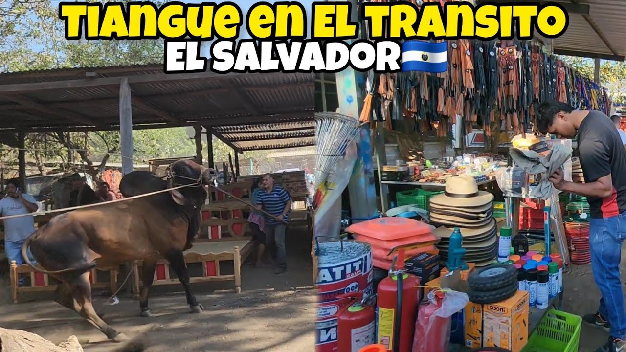 🚨TIANGUE DE EL TRANSITO SAN MIGUEL EL SALVADOR TODOS LOS MARTES😱🇸🇻