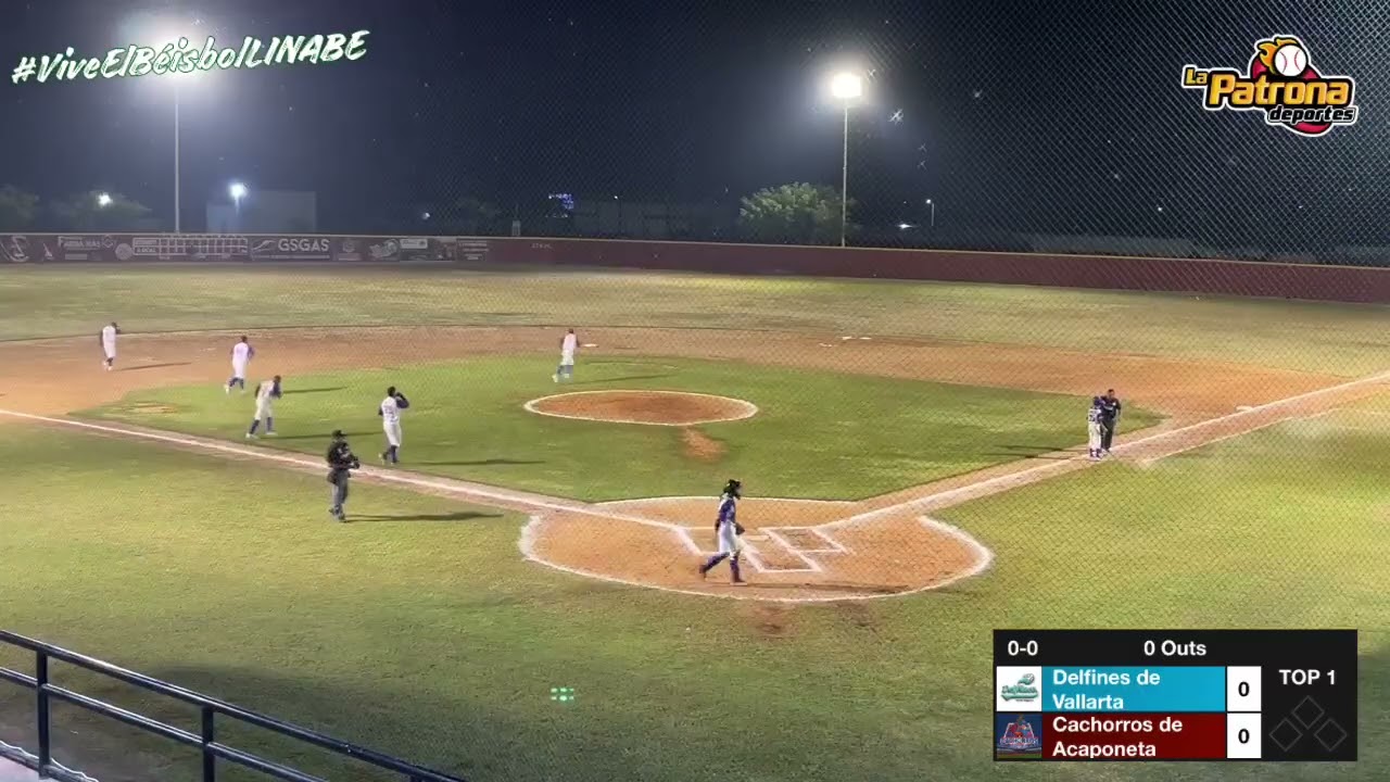 Delfines de PuertoVallarta Vs Cachorros de Acaponeta 