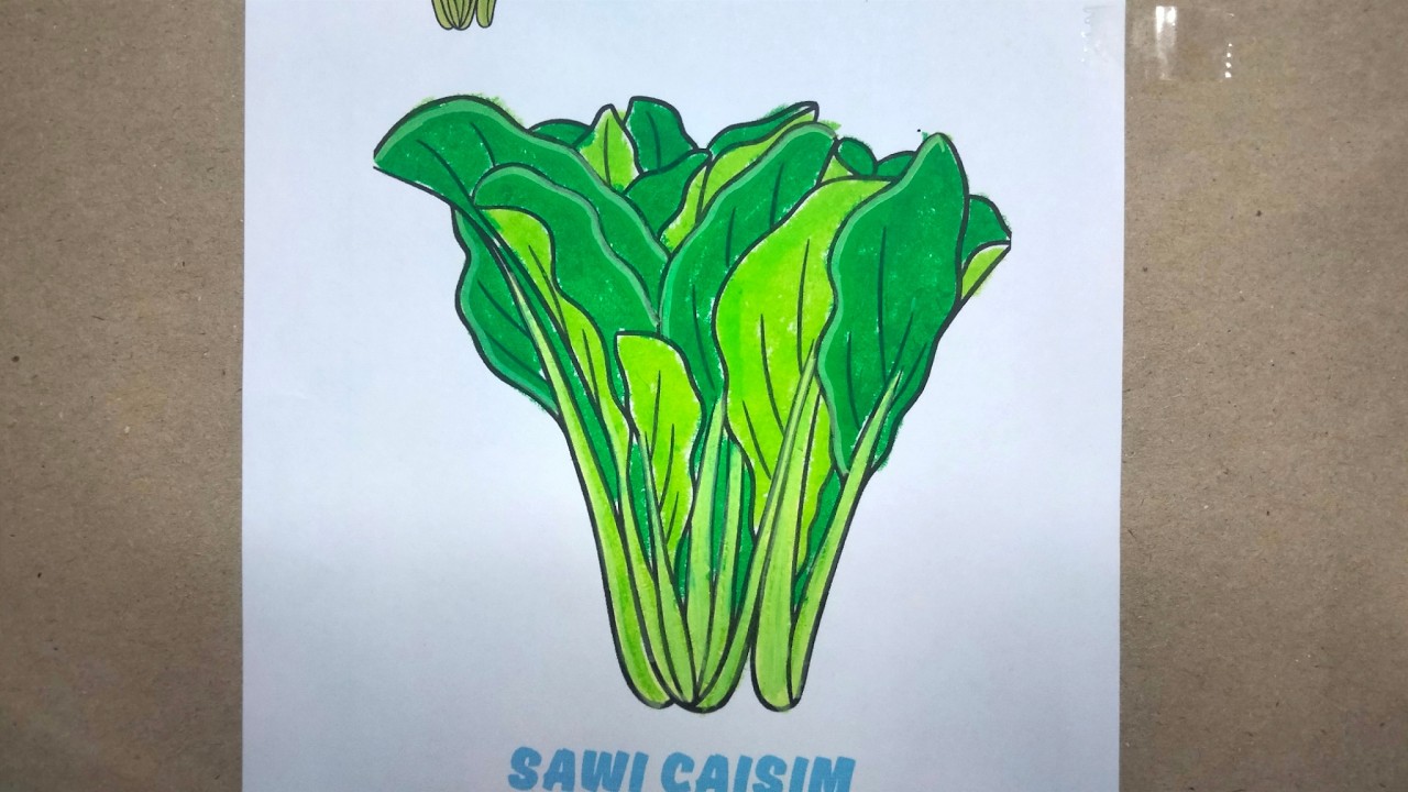 Tutorial Mewarnai Sawi dengan Krayon.