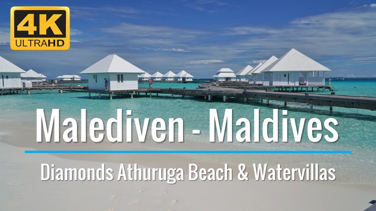 Malediven - Diamonds Athuruga Beach & Watervillas - Ananea - Schnorcheln am Hausriff