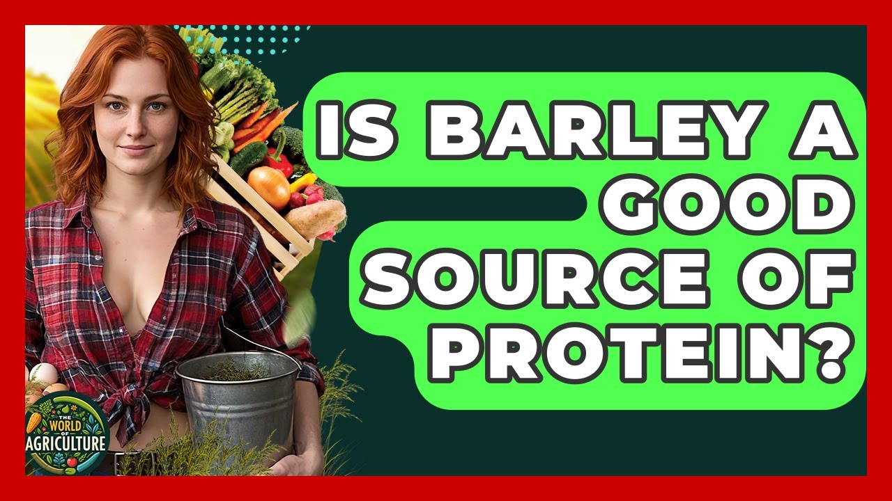 Is Barley A Good Source Of Protein? - The World of Agriculture