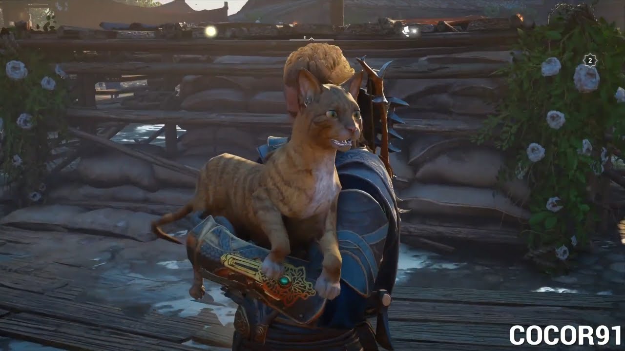 Assassin'S Creed Valhalla L'Assedio di Parigi Dove trovare i gatti - Trofeo Amici Felini