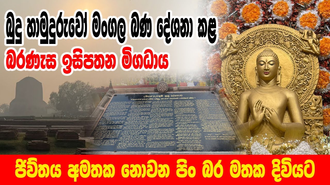 බුදු හාමුදුරුවෝ මංගල ධර්ම දේශනාව සිදු කරමින් ධර්ම ස්ථාපනය කරන ලද බරණැස ඉසිපතන මිගධාය 