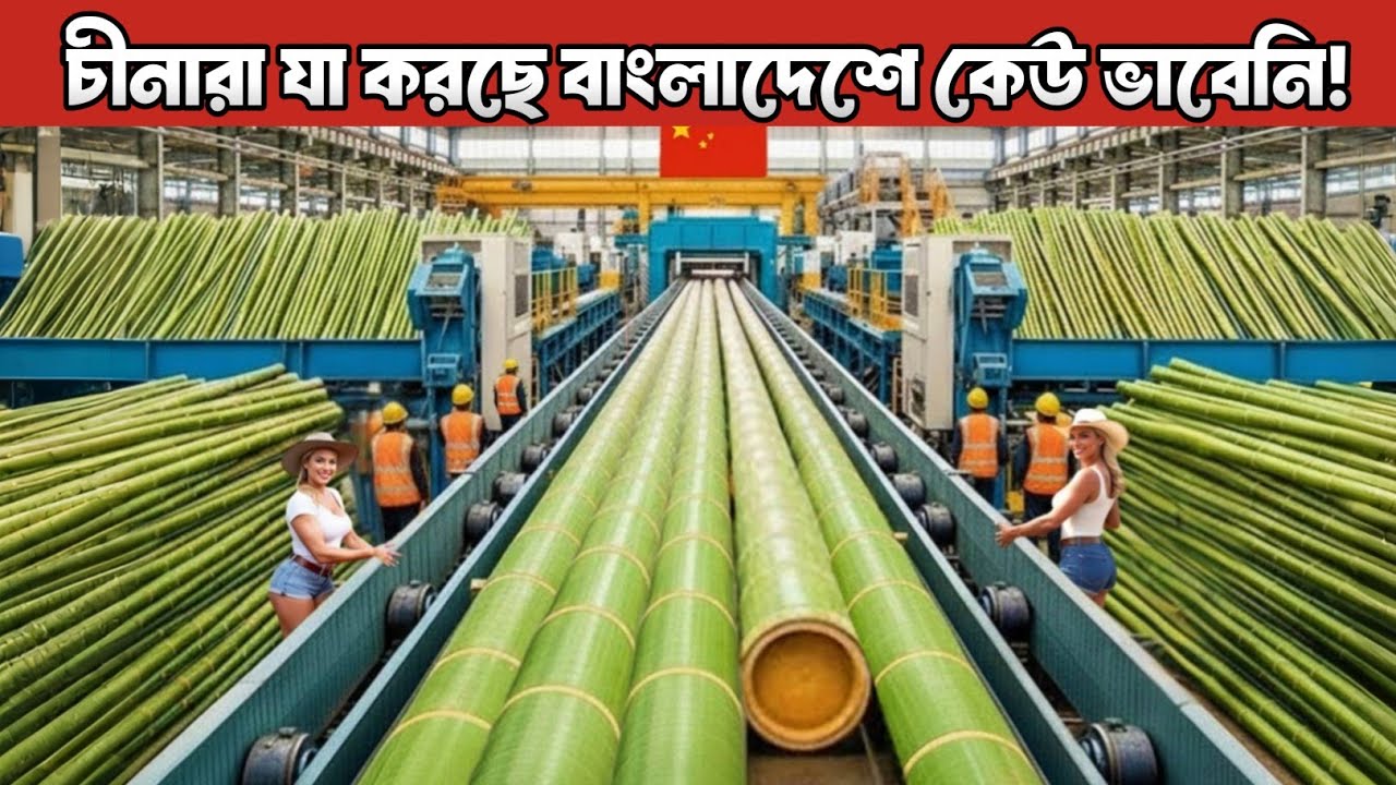 দেখুন চীনারা কিভাবে লাখ লাখ বাঁশ দিয়ে কোটি টাকার পণ্য তৈরি করে! | Bamboo Industry China