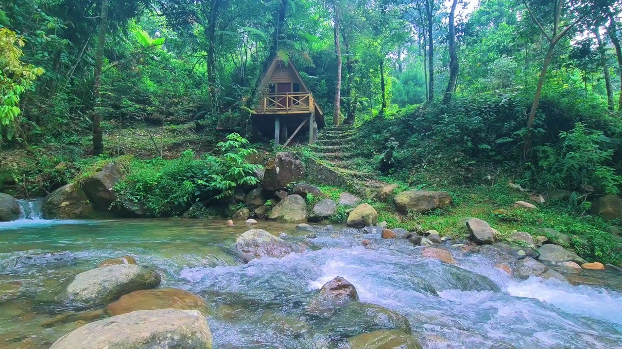 Moonlit River Stream – Soft ASMR Water Flow for Relaxation and Peaceful Sleep