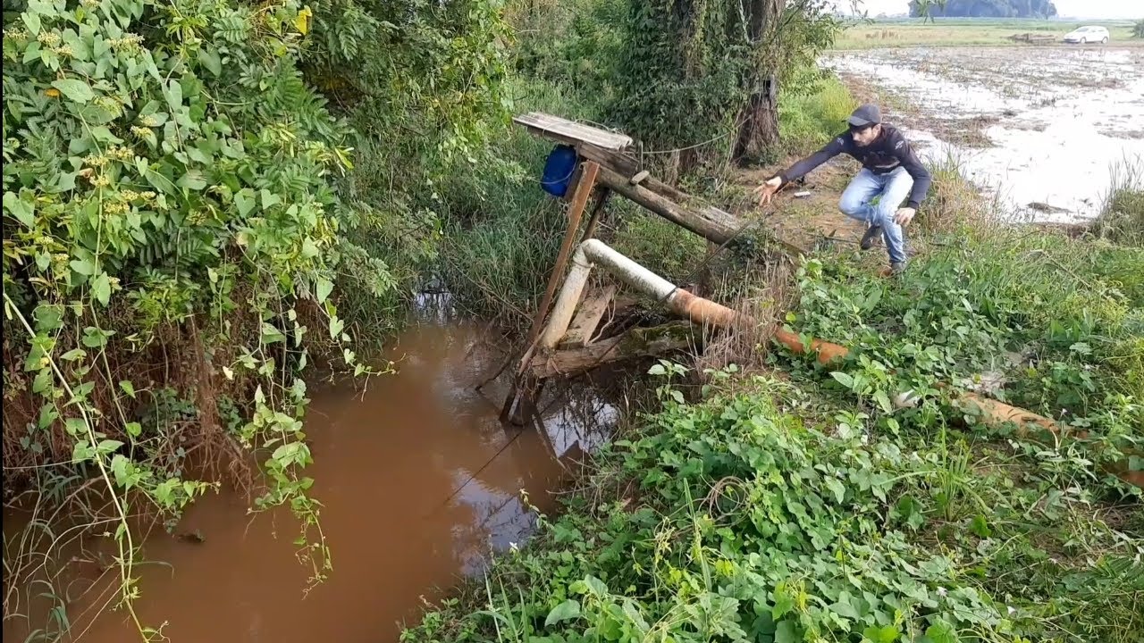 LEVOU O CANIÇO COM TUDO PRA DENTRO DA SANGA