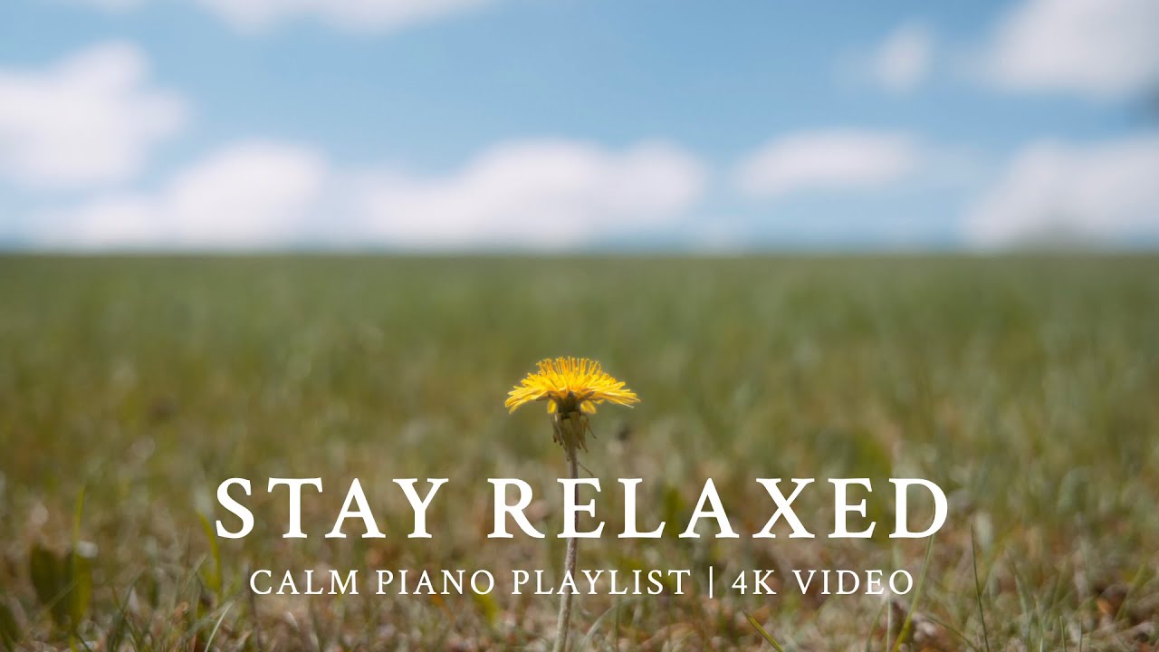 Playlist | Calm Piano Like Lively Spring Sunshine | Springtime