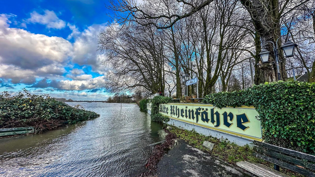Hochwasser und Überschwemmungen in Düsseldorf Kaiserswerth Rheinfähre Kaiserpfalz walkthrough