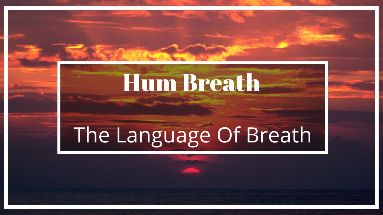 The Language of Breath | Guided Breathwork | Hum Breath