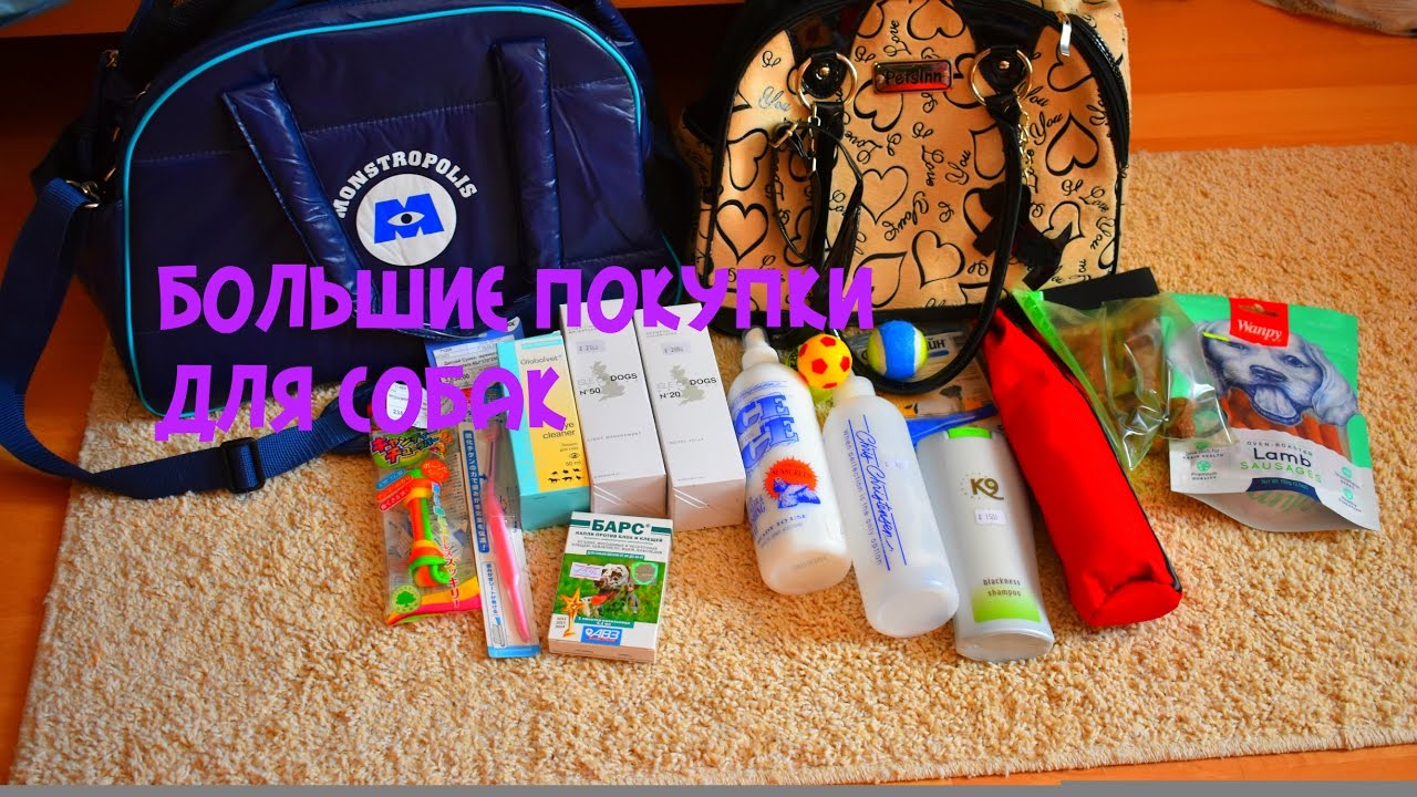БОЛЬШИЕ ПОКУПКИ ИЗ ЗООМАГАЗИНА
