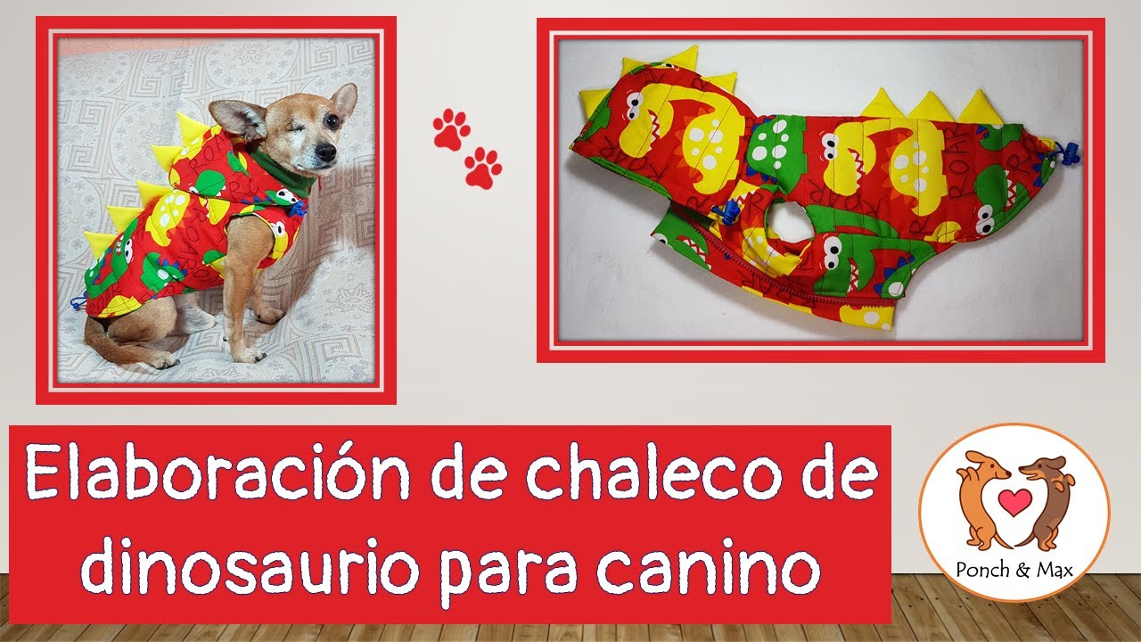DIY 🐶 Elaboración de chaleco dinosaurio 📌 🥰 Ropa para perros y mascotas ❤❤❤ disfraz dinosaurio
