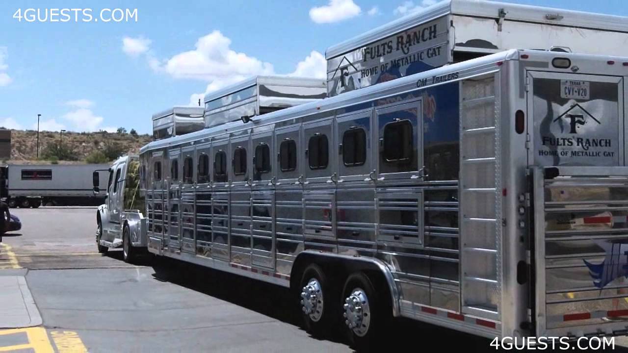 Fults Ranch Horse Trailer, Home of Metallic Cat