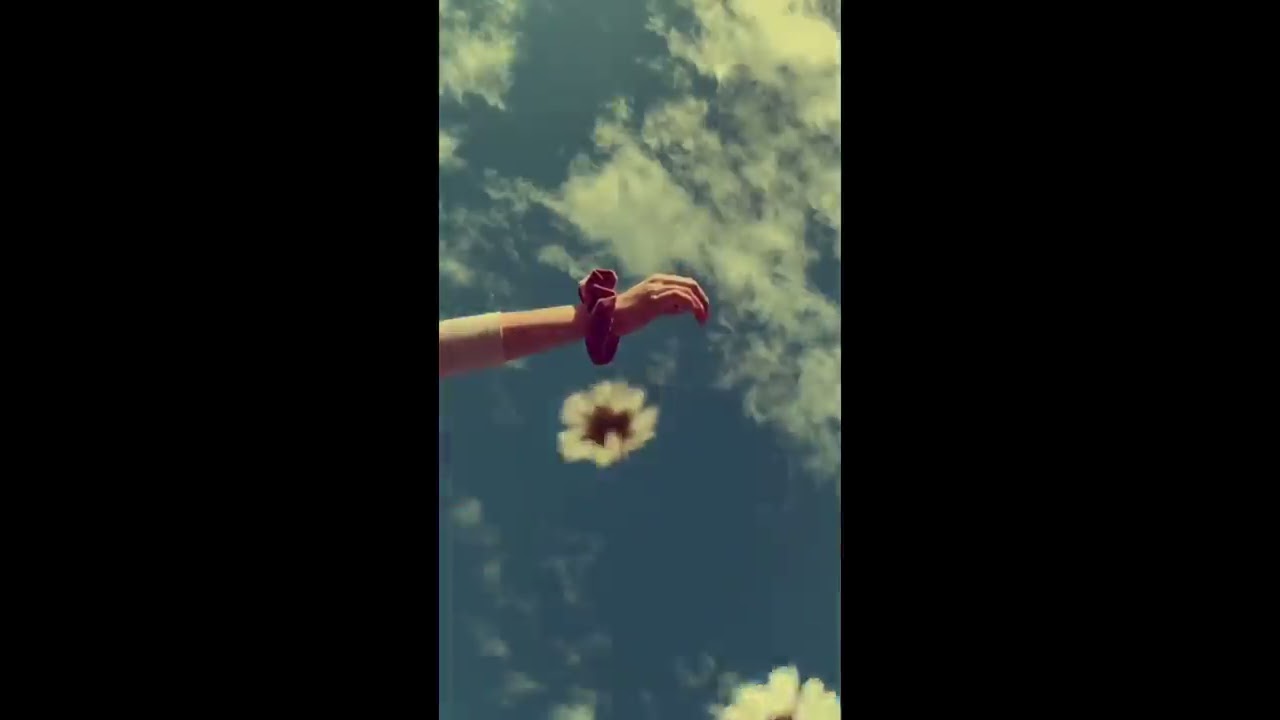Some Aesthetic Videos🥀