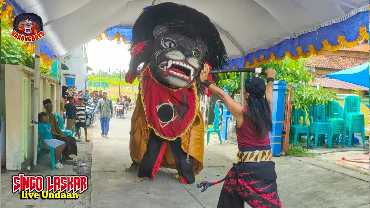 Atraksi Barongan Galak Ngamuk! Barongan Singo Laskar Terbaru live Undaan | BarongBoys