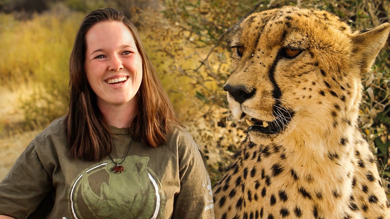Volunteers Review The Namibia Wildlife Sanctuary! | The Great Projects