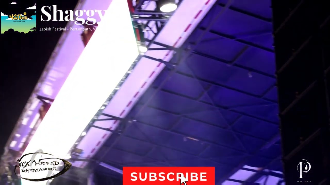Shaggy performing 