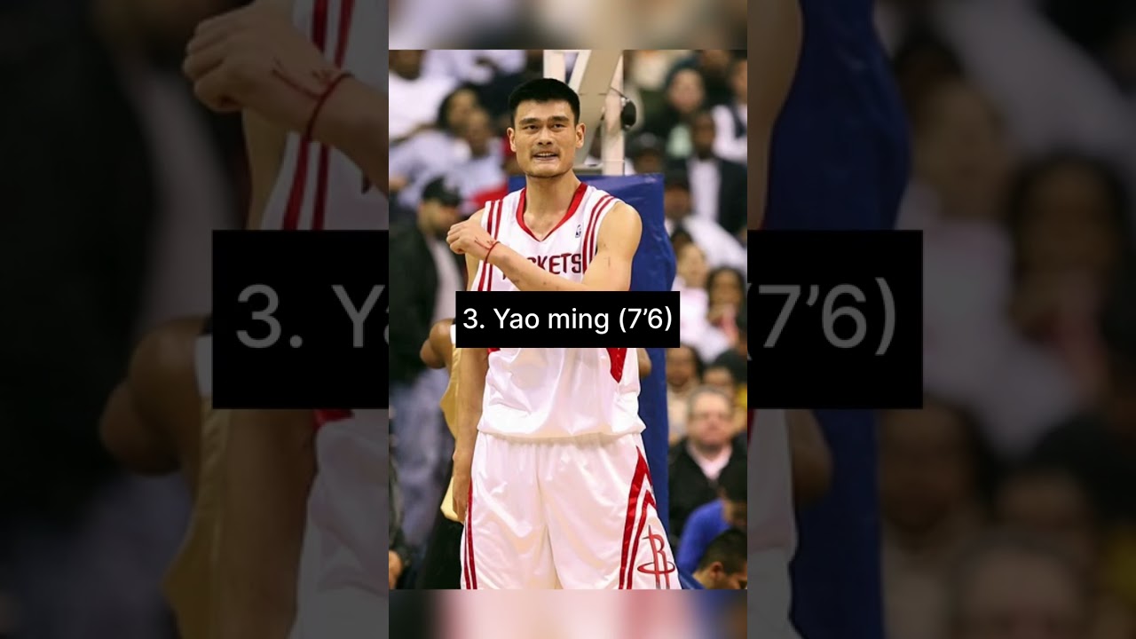 Top 5 tallest nba players of all time