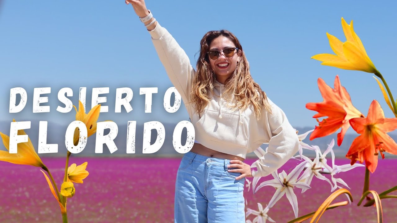 Desierto Florido el mágico micromundo de Chile | Fer Nómada
