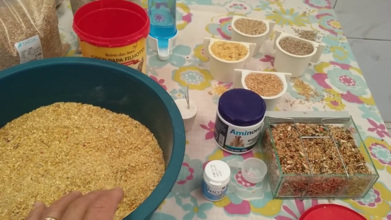 Farinhada para reprodução das  Calopsitas .