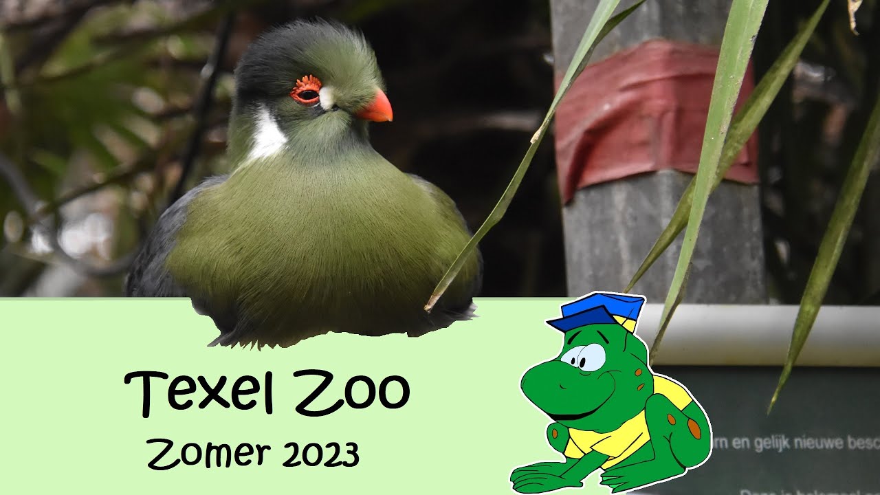 Texel Zoo