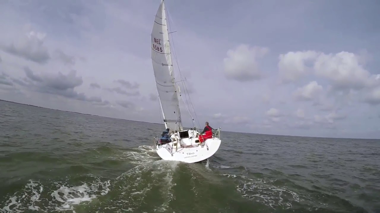 Tibo (Pogo 8.50)  @The Roompot, The Netherlands 2016