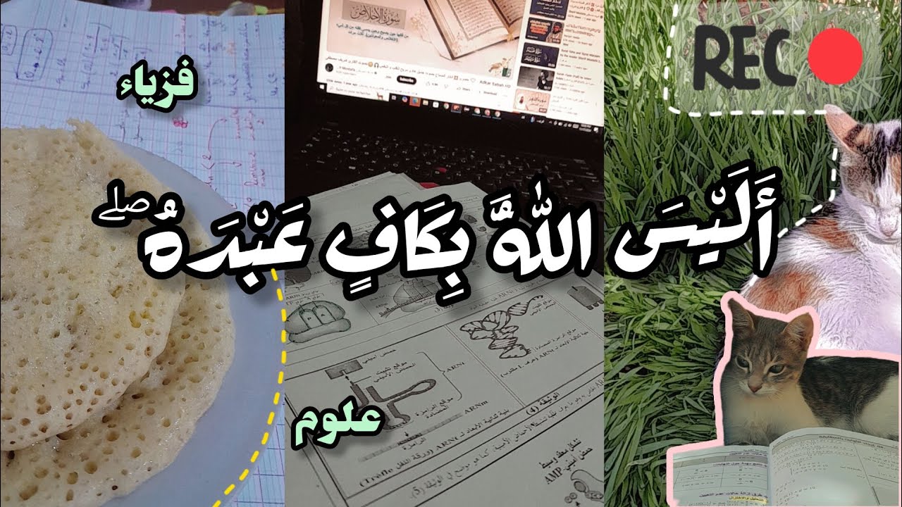 Vlog 02||🌱وكلُّ خطوٍ.. لهُ في العمرِ أثمانُ