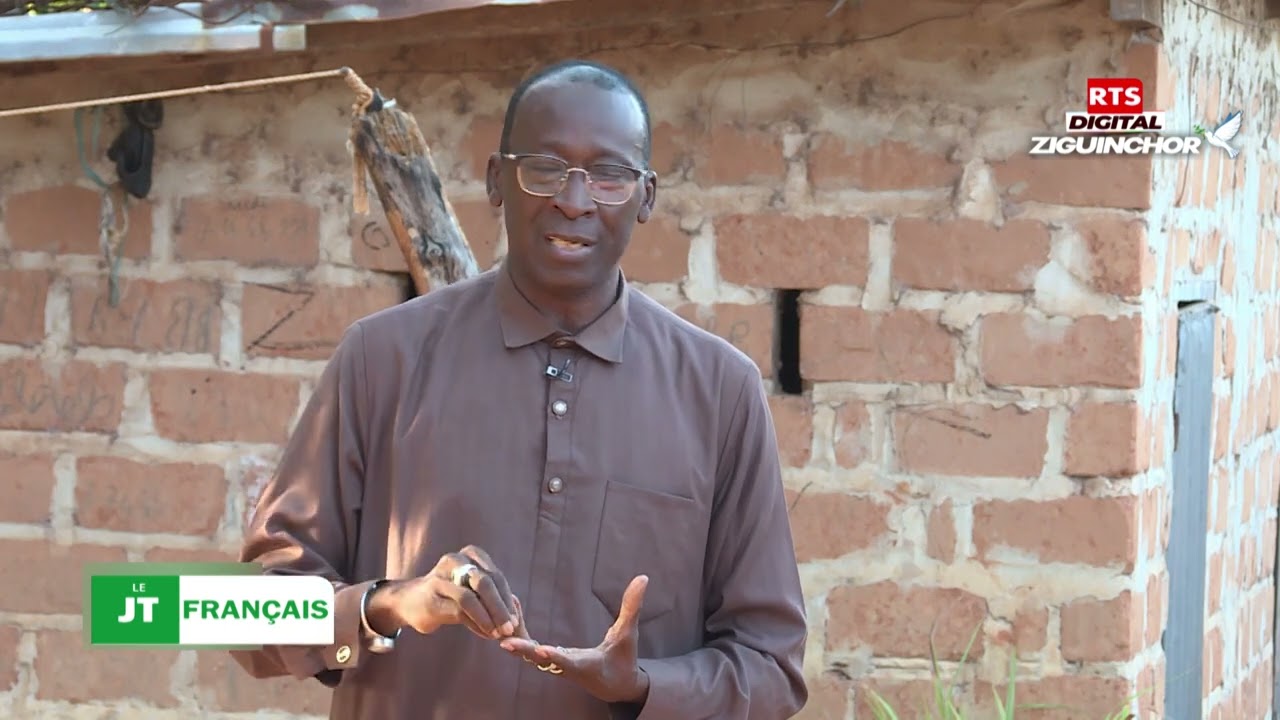 Le Plan Diomaye pour la Casamance a un an.