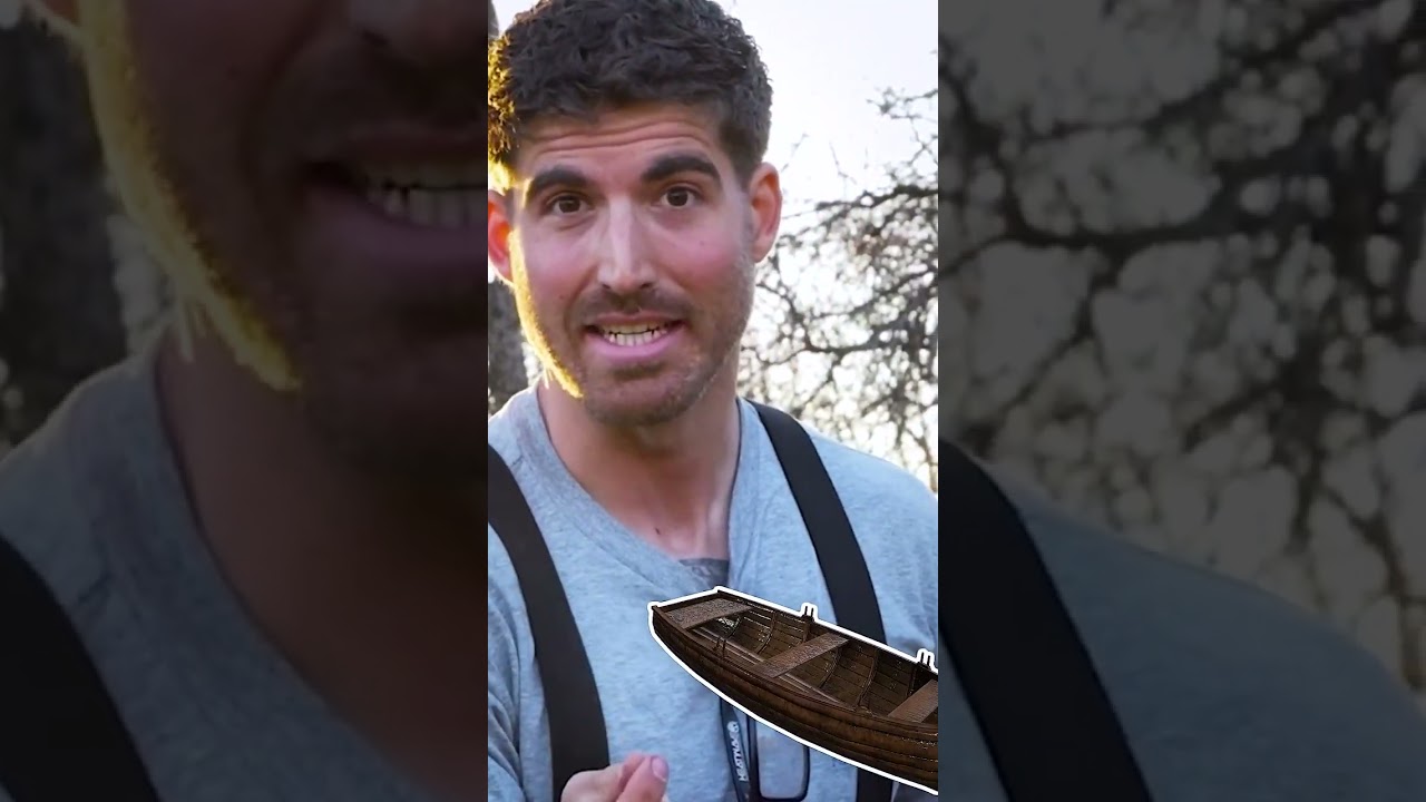 The hardest wood to split 