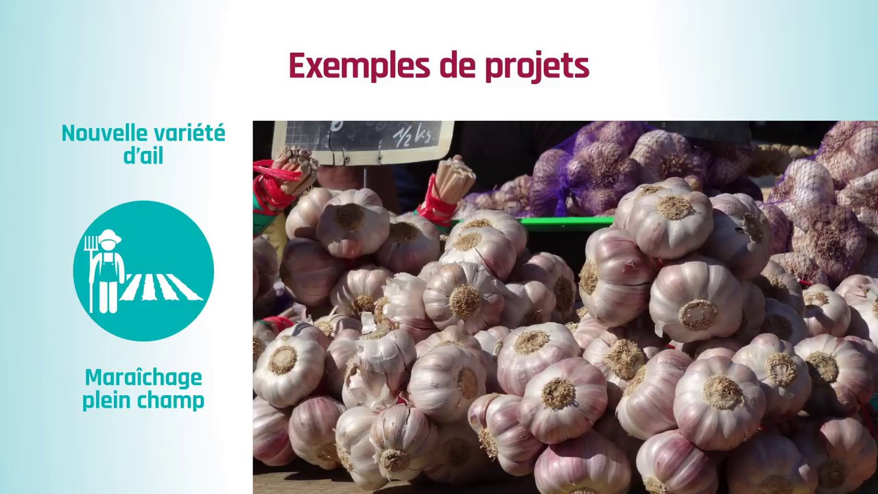 L'Armeflhor : experimentation, recherche et innovation