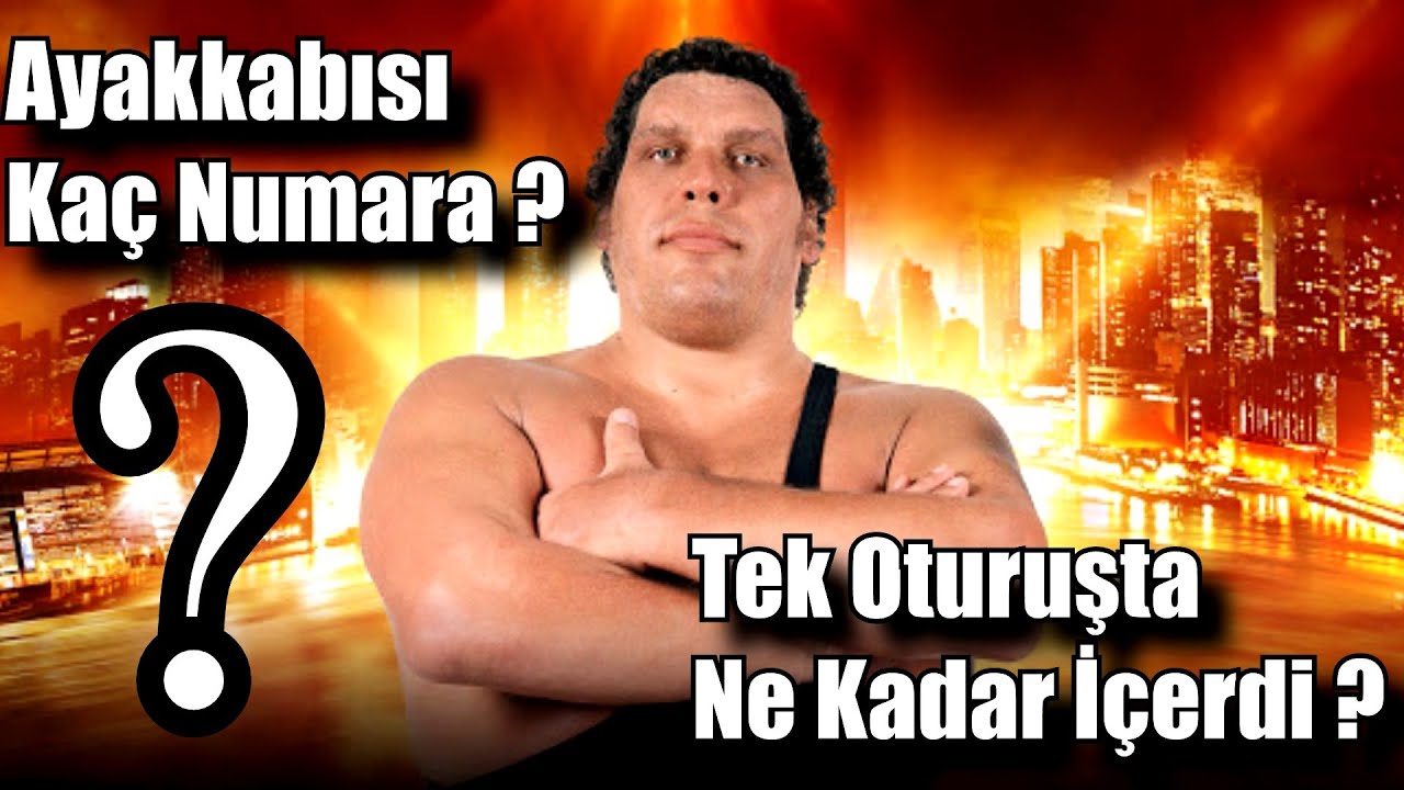 ANDRE The GIANT ile İlgili Bir Takım Bilgiler