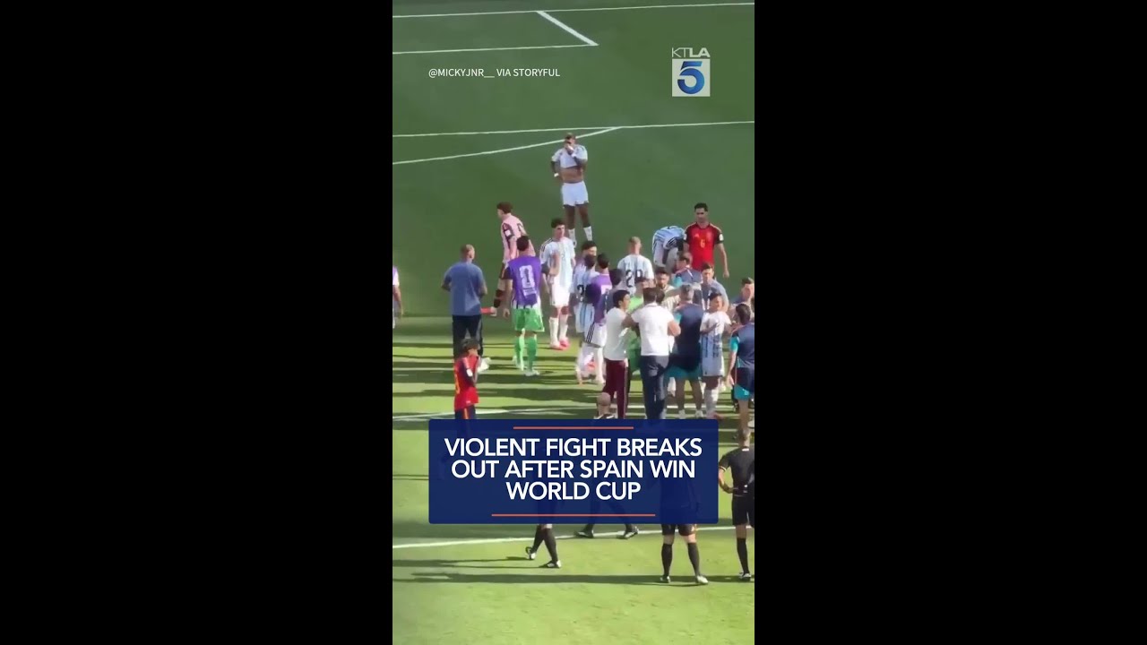 Violent fight breaks out after Spain win World Cup