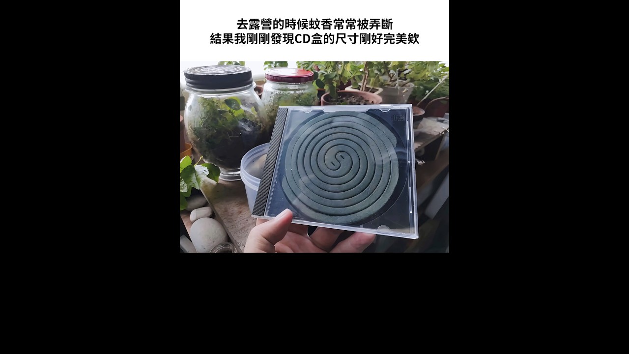 CD中出了蚊香