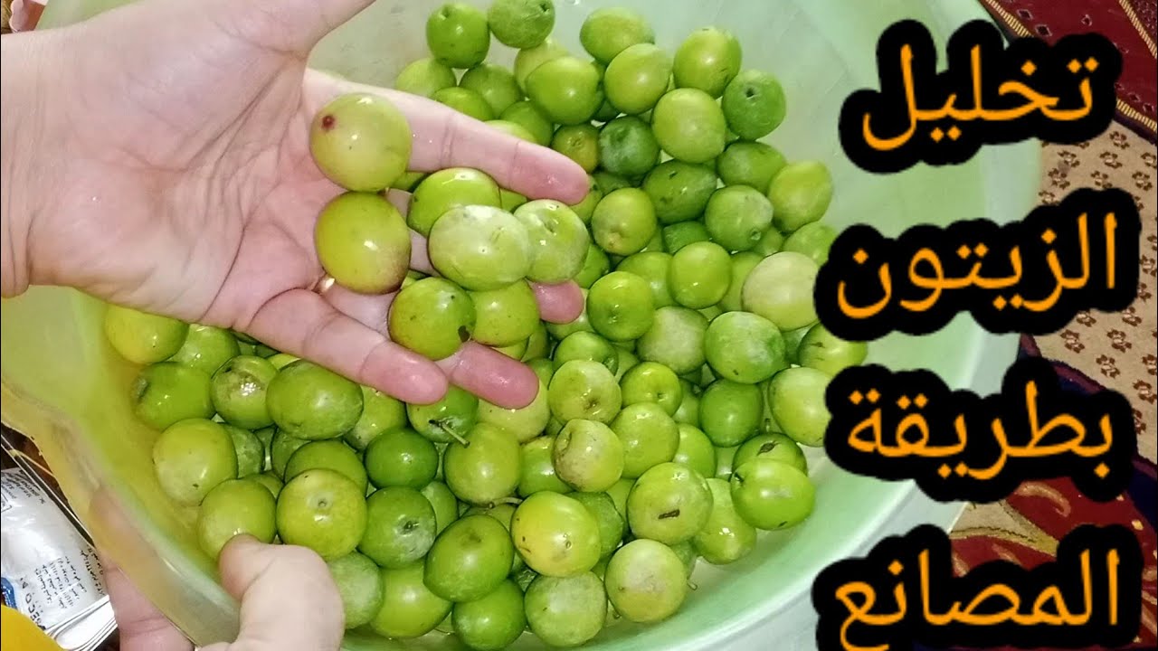 اول تجهيزات رمضان 🌛 ٢٠٢٤ من المخلل زيتون تفاحى بطريقة المصانع