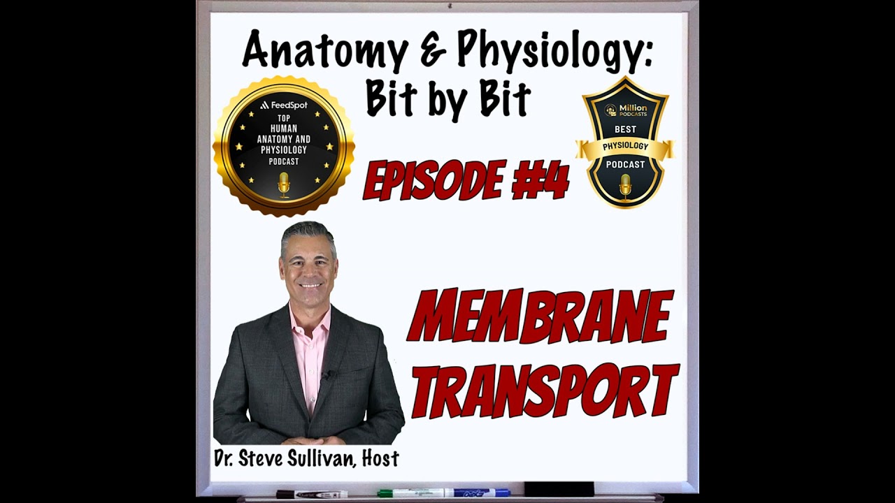 REBOOT: Specifics of Membrane Transport - Episode 4