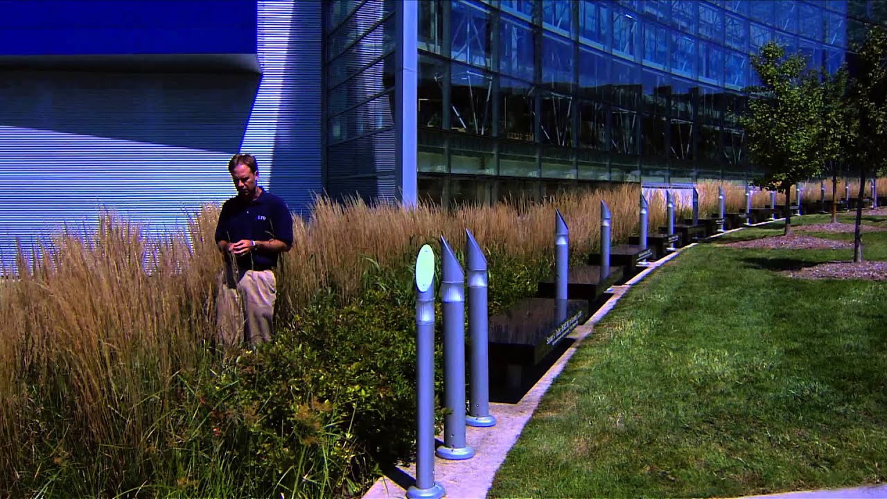 Low Impact Development - BIOSWALE