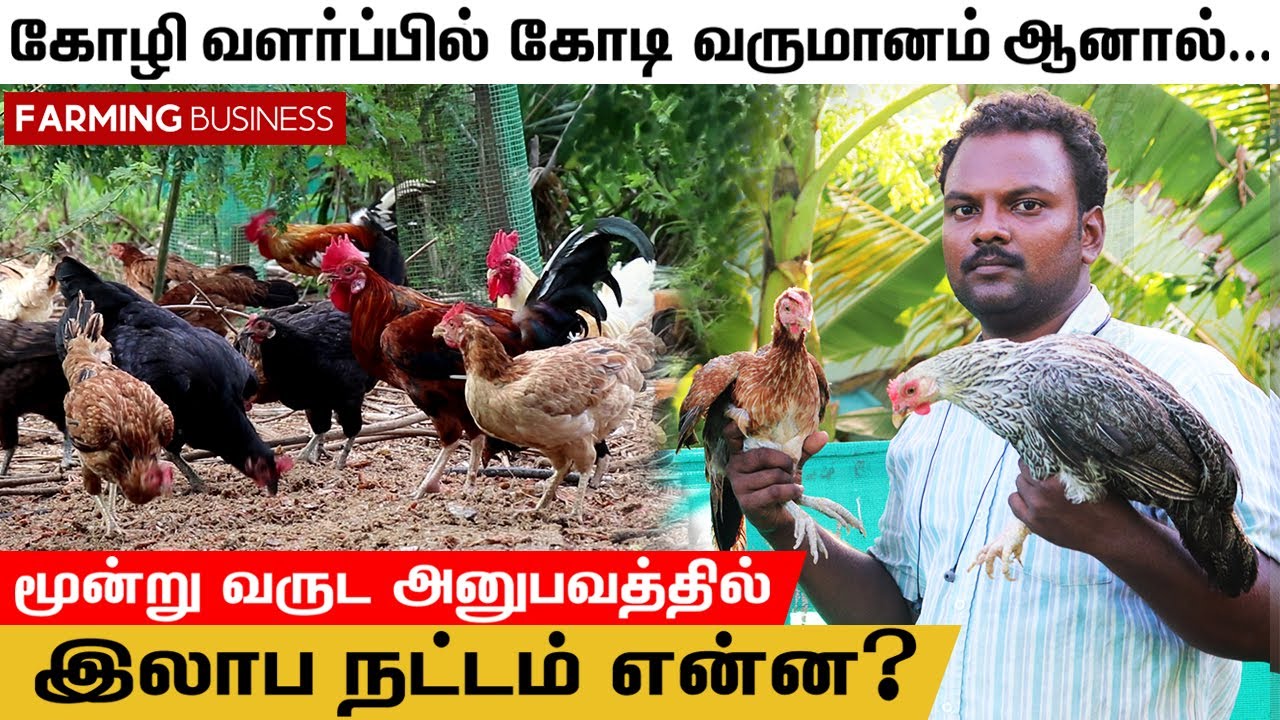 நாட்டுக்கோழி வளர்ப்பில் அதிக லாபம் பெற எளிய வழி | பண்ணையாளரின் 3 வருட அனுபவ பகிர்வு | TFO Farm