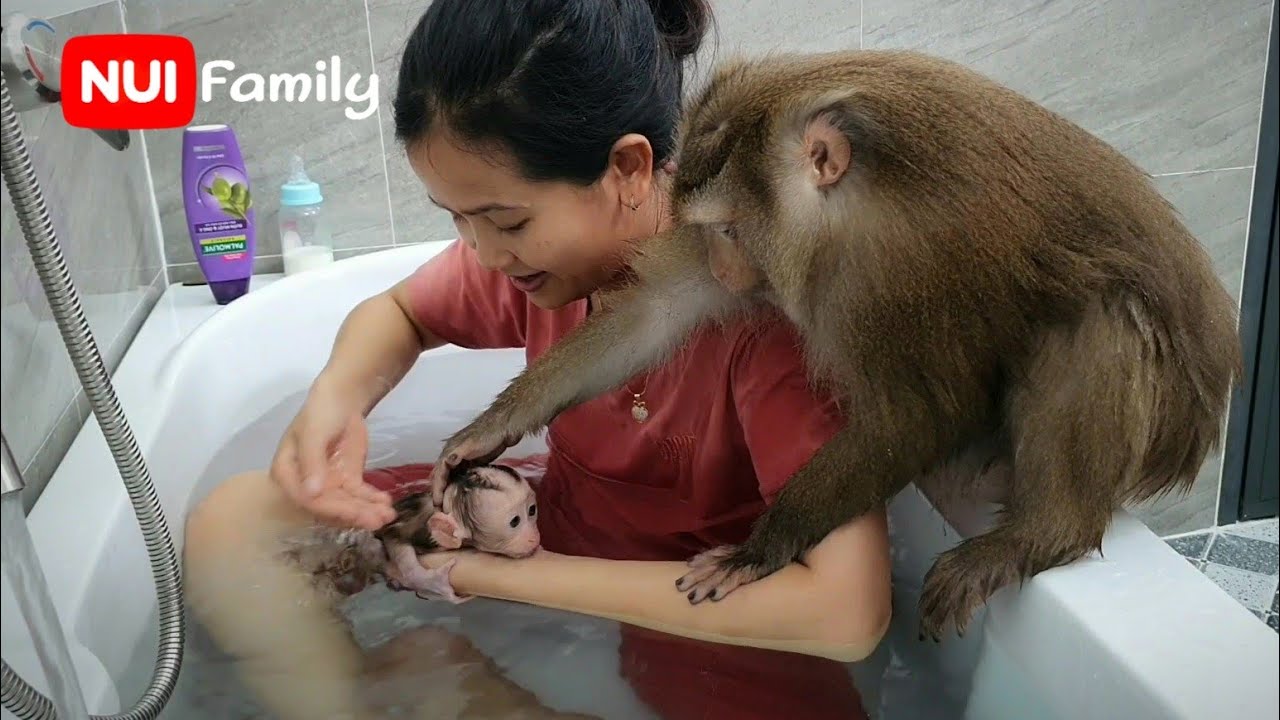 Poni's daughter cried loudly asking Nui to hug her | Nui Family