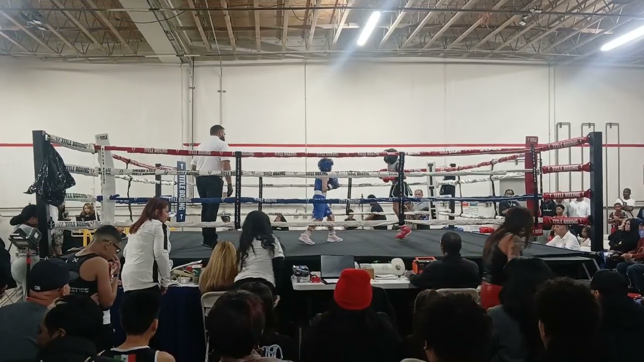 AOW boxing  Money Mel getting that W