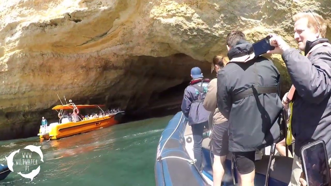Delphintour September 2023 in der Algarve mit Wildwatch Ferragudo